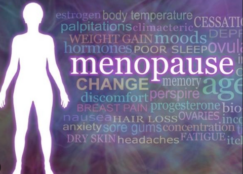 Menopausal Wellness: Your Essential Toolkit for a Healthy Transition