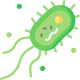 Balances the Skin Microbiome